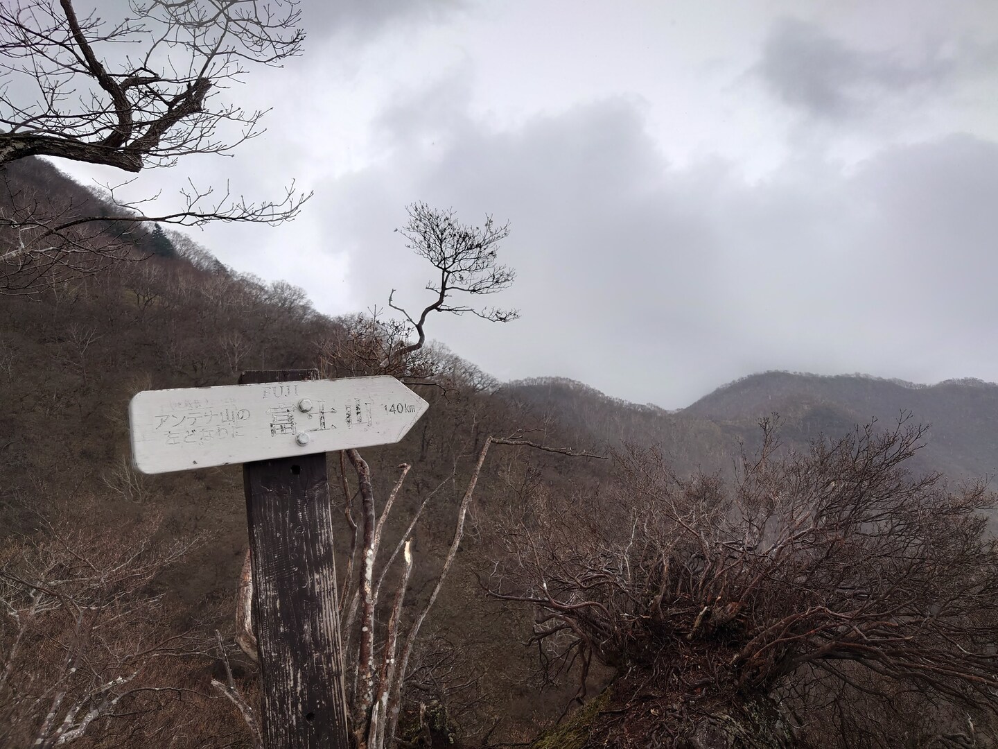 雨の富士山