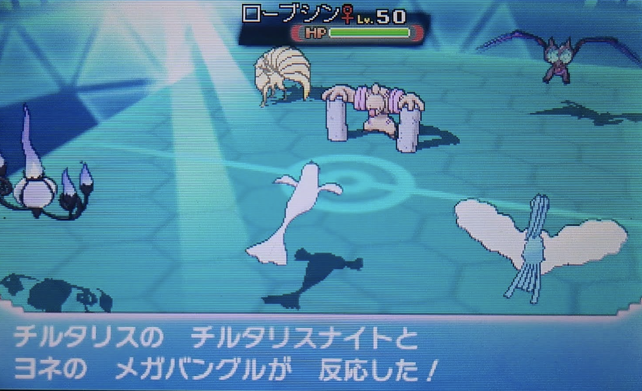チルタリス詰め