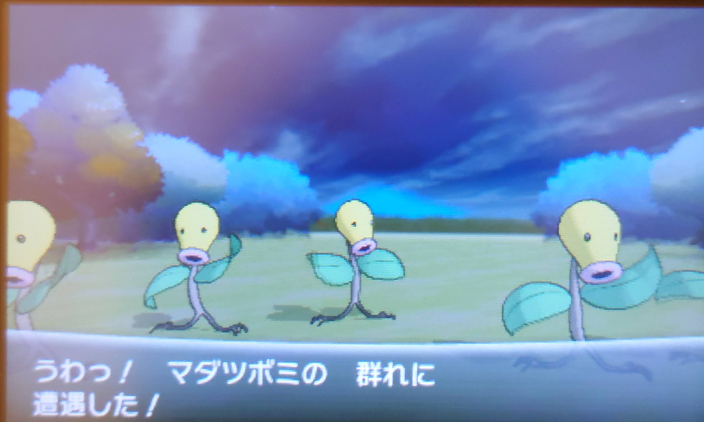 うわっ